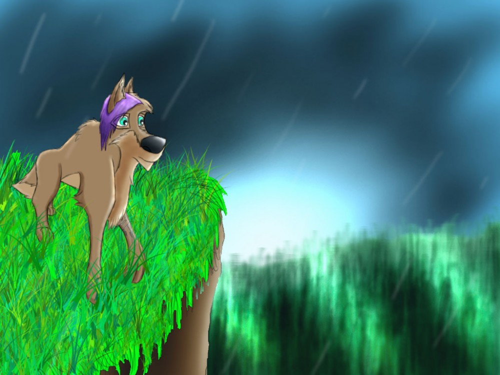 Walk in the Rain