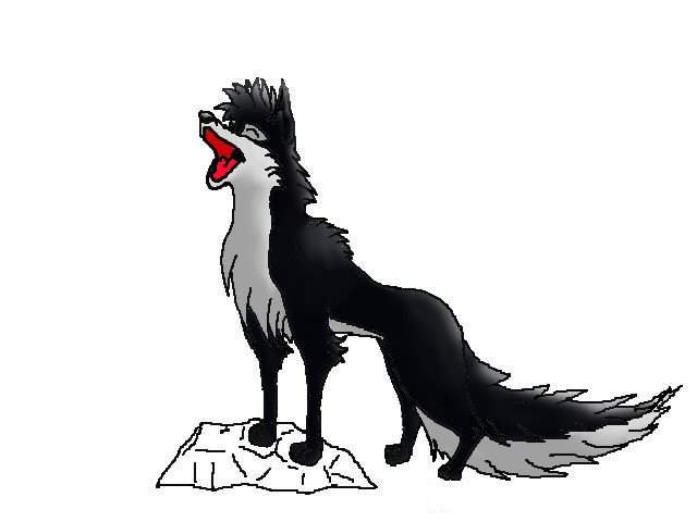 Yip yip!