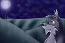 Lobo's Lament