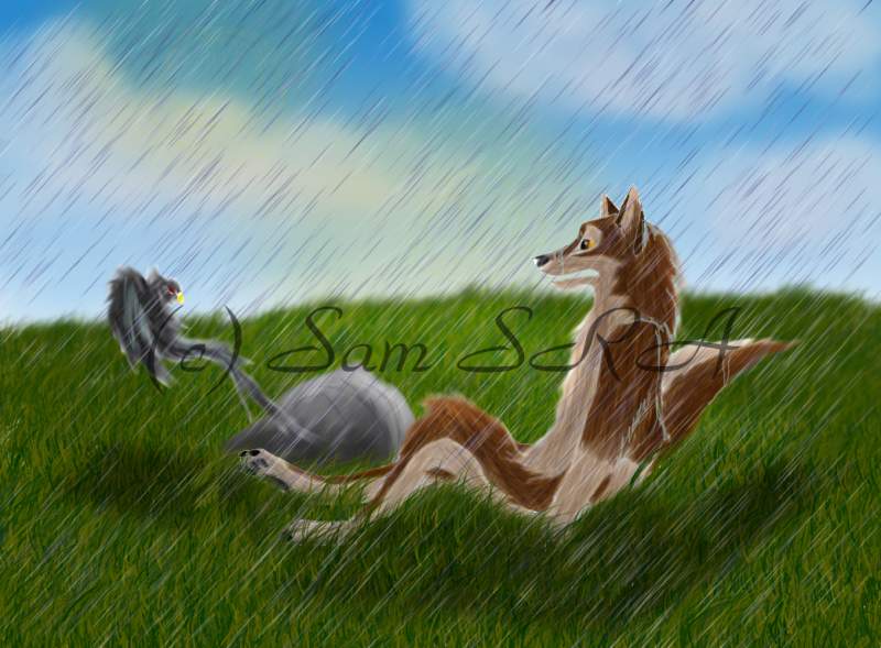 balto and raven