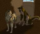 Balto and Aleu
