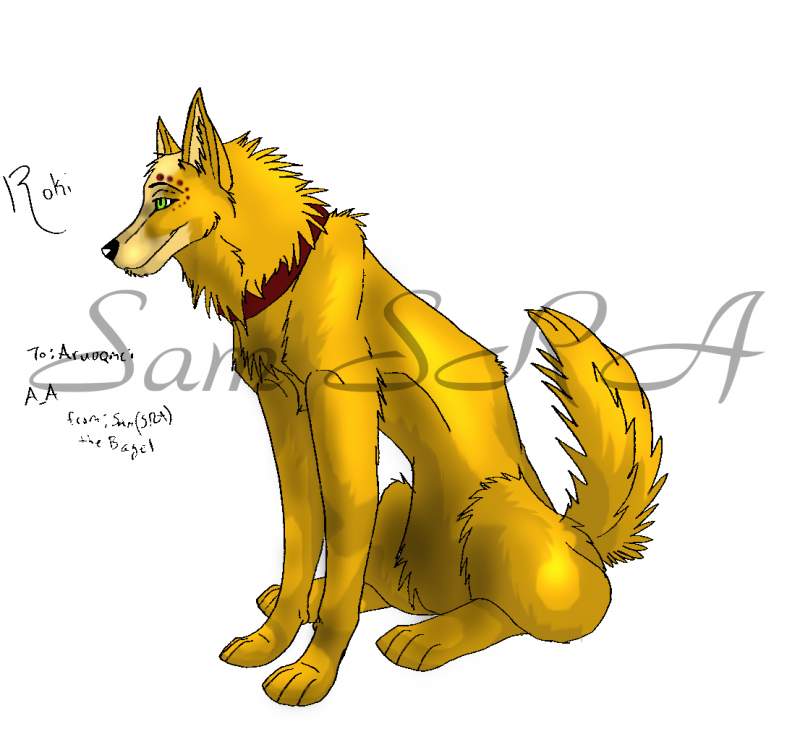Roki for ARUOQMCI