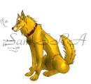 Roki for ARUOQMCI