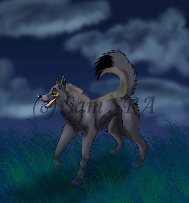 Aloka with a background