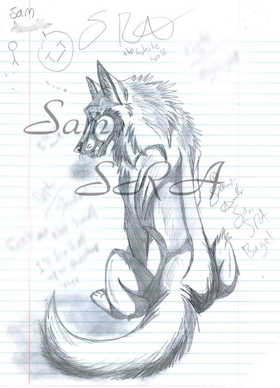 SRA sketch