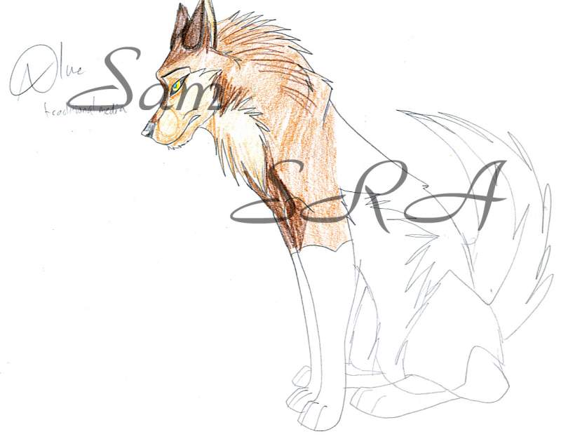 Aleu coloured pencil