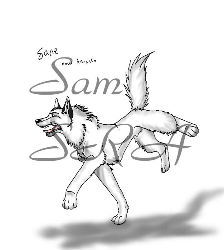 Sane pour Annasko
