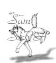 Sane pour Annasko