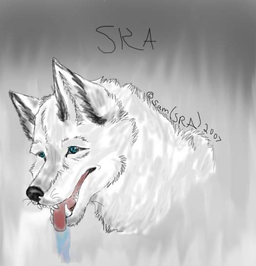 SRA in Sketcher