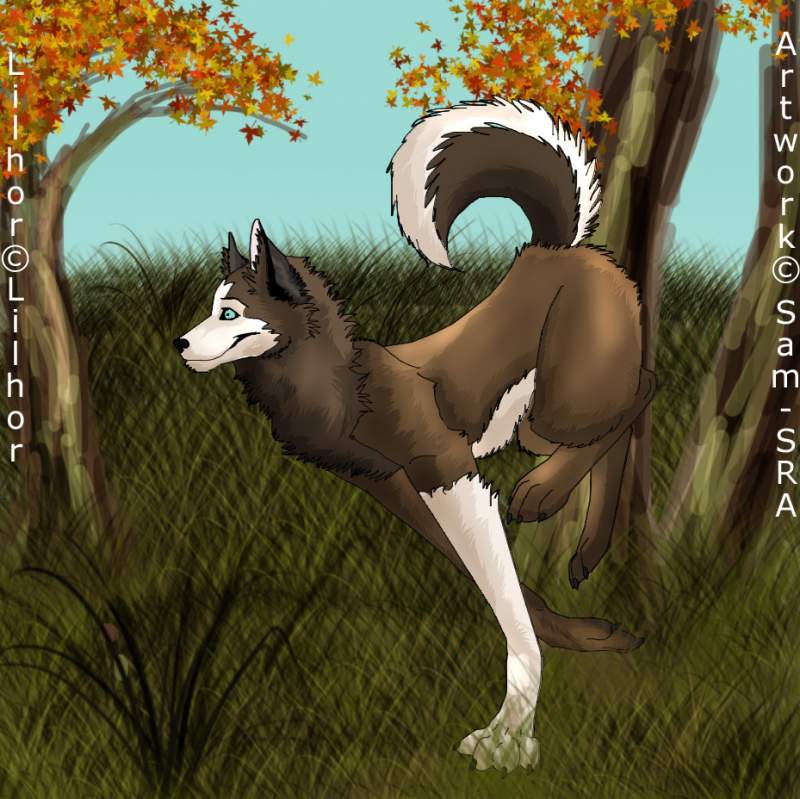 Trade with Lilhor