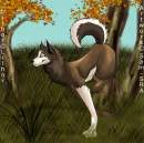 Trade with Lilhor