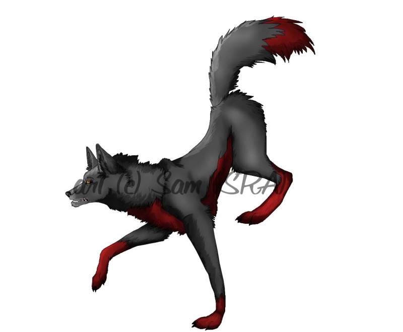 W.I.P shaded