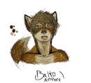 Balto anthro