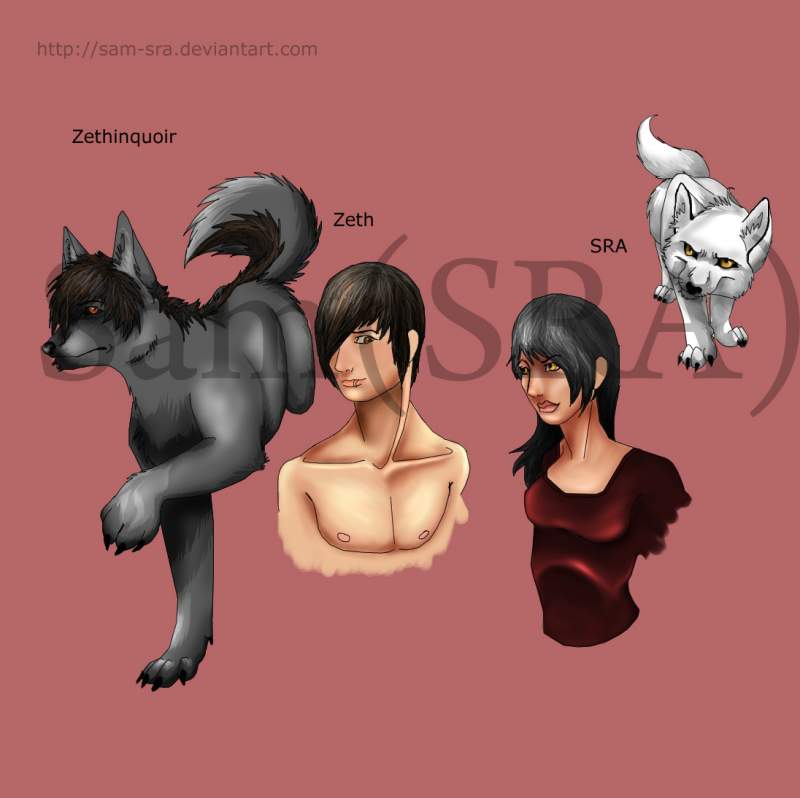Zethinquoir (Zeth) and SRA