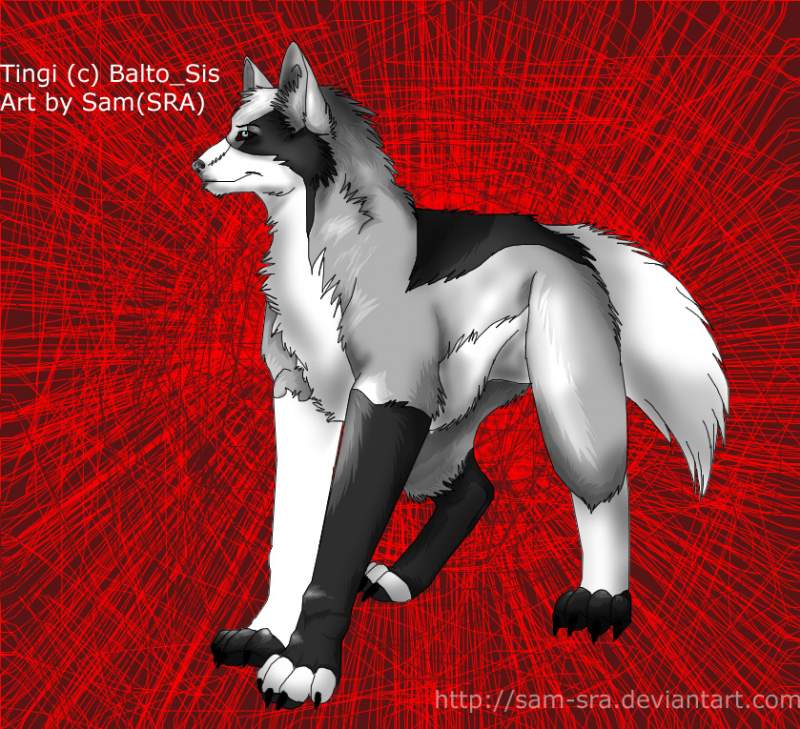 Balto_Sis gift arts