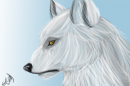 Aniu/White Wolf