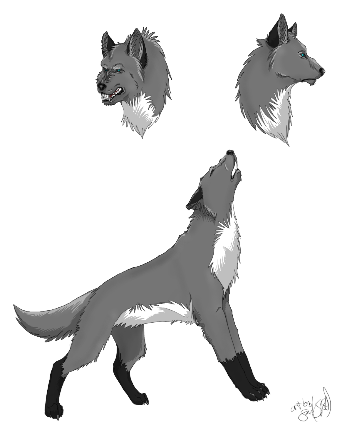Redrawing Padfoot