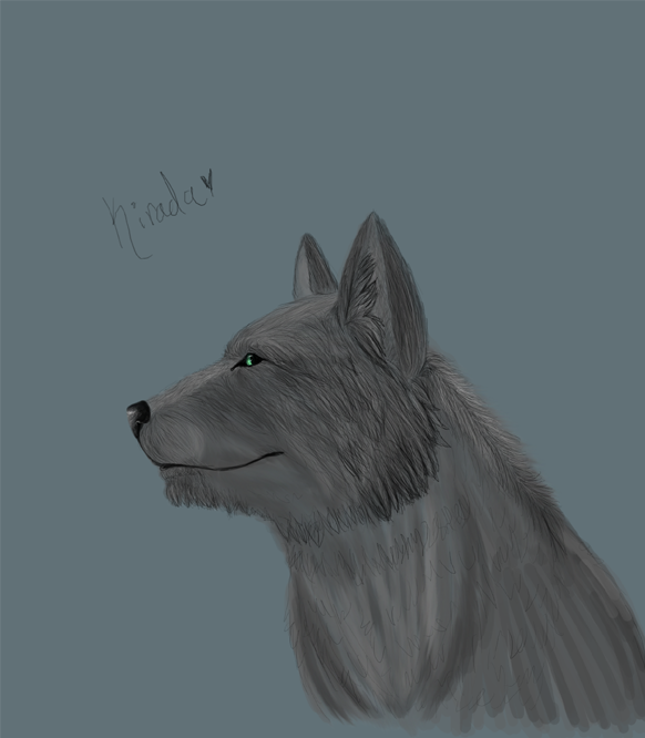 Kirada gift art