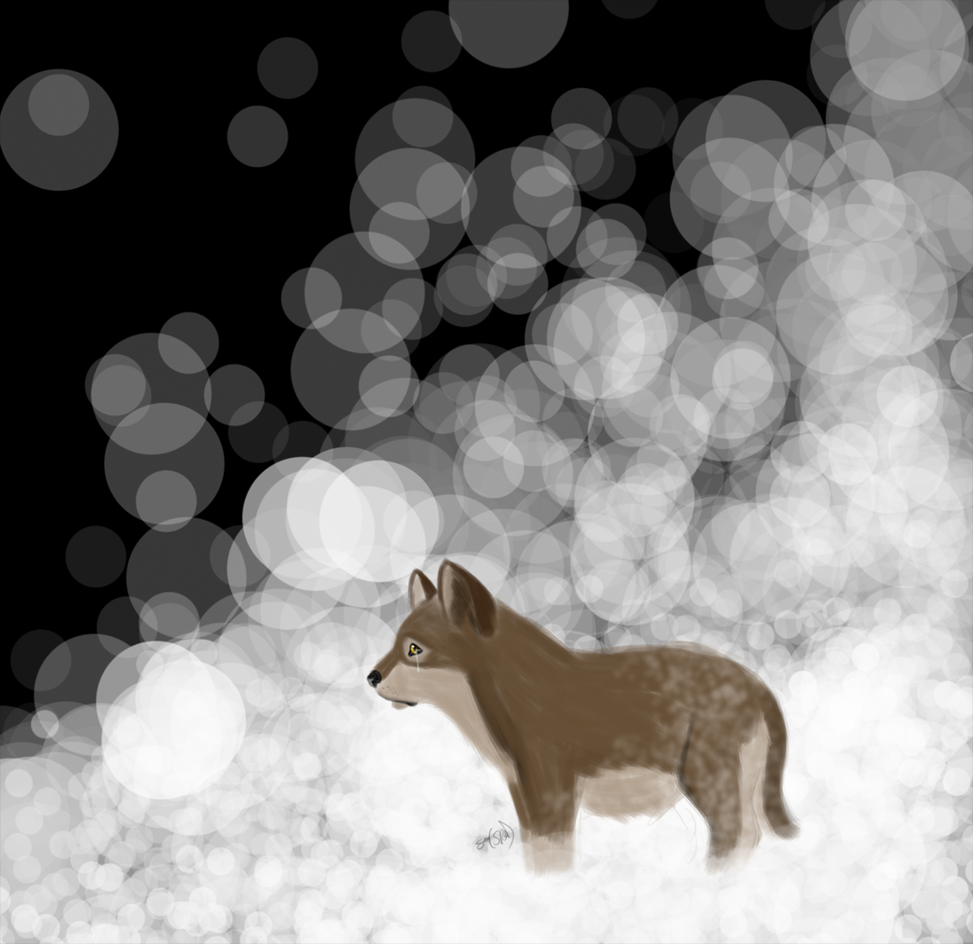 Puppy balto woof