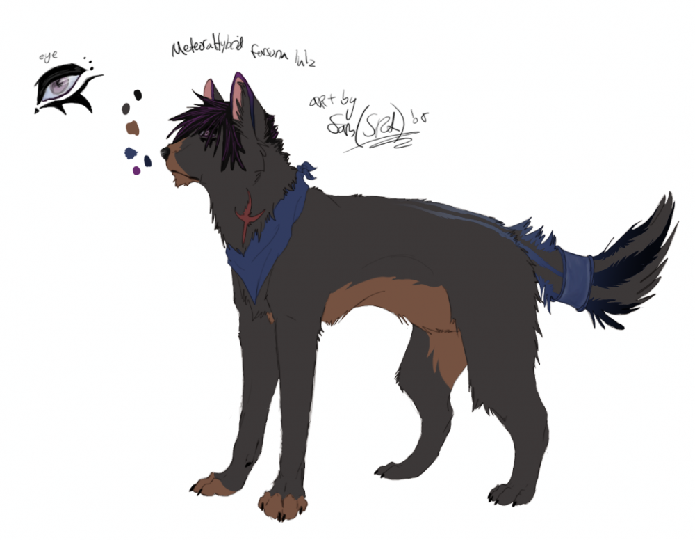Met's fursona. My half of trade