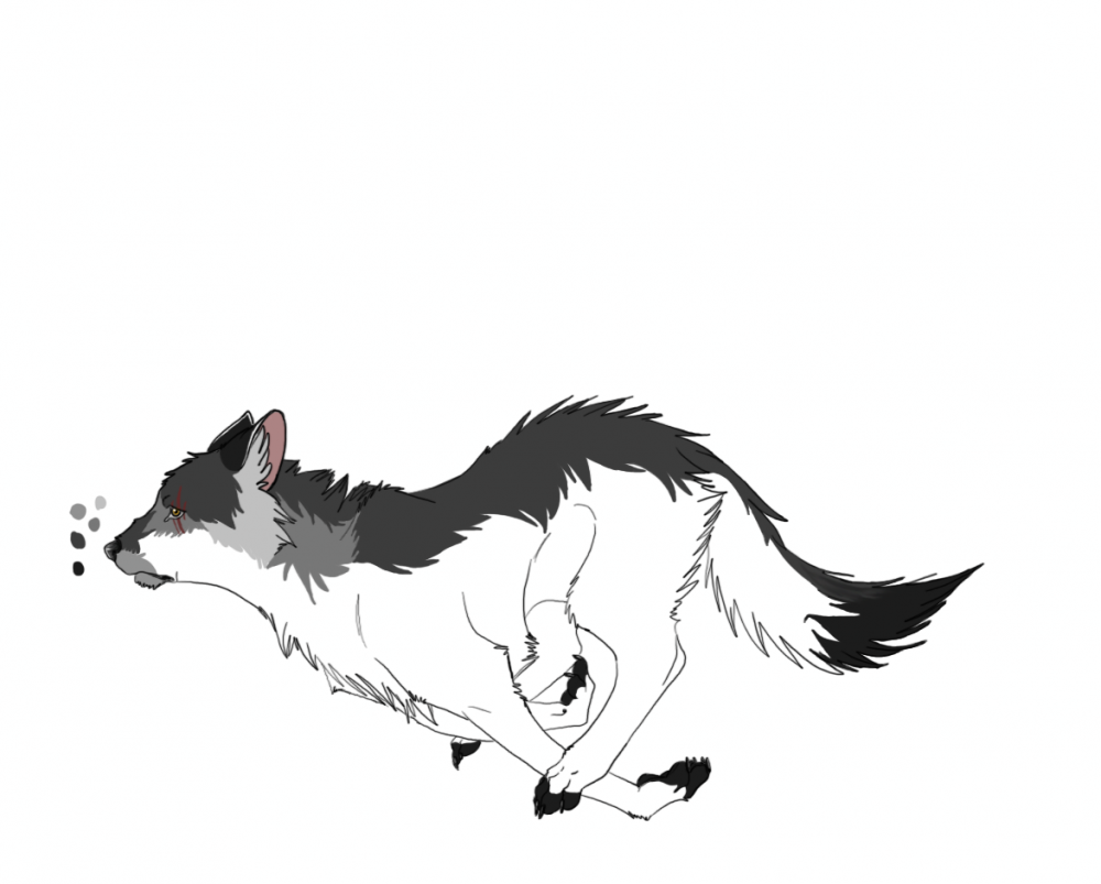 Character for a friend