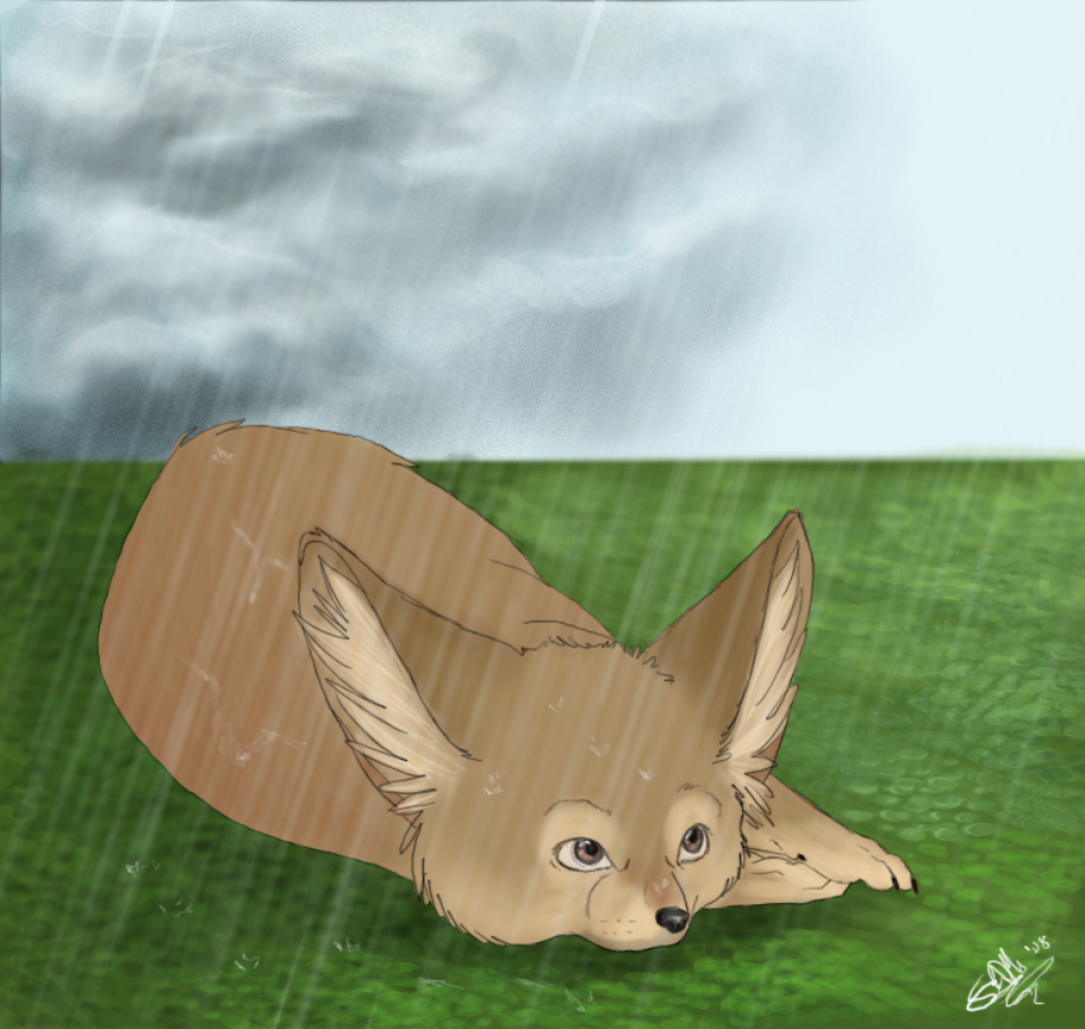 fox thing