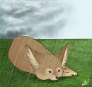fox thing