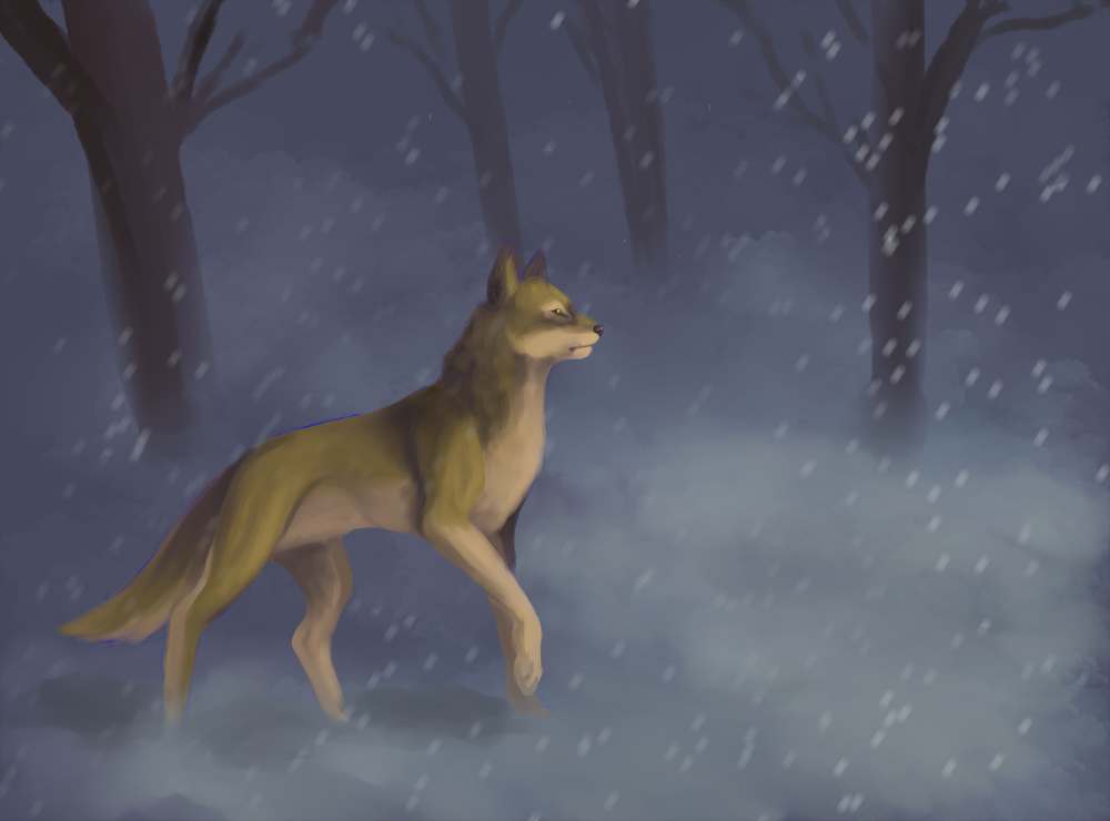 balto in snow