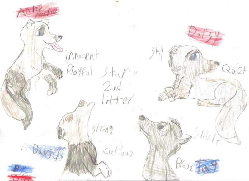 Stars 2nd litter
