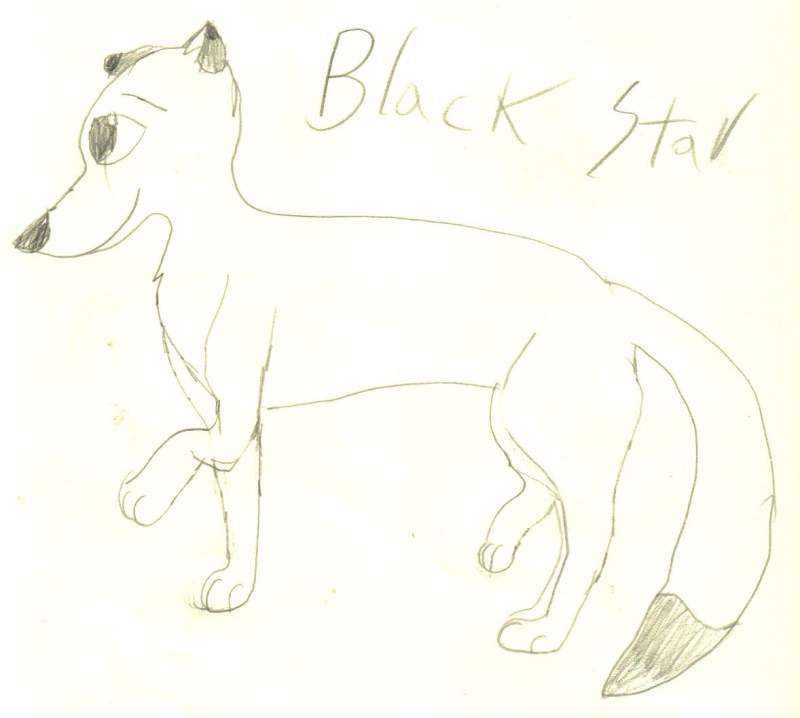 Black star