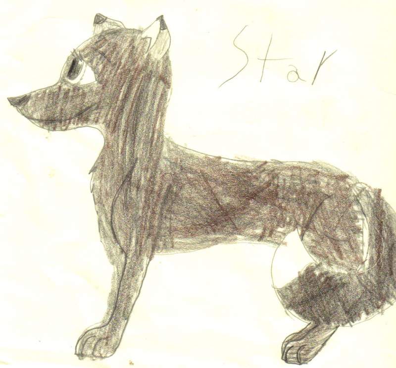 Star