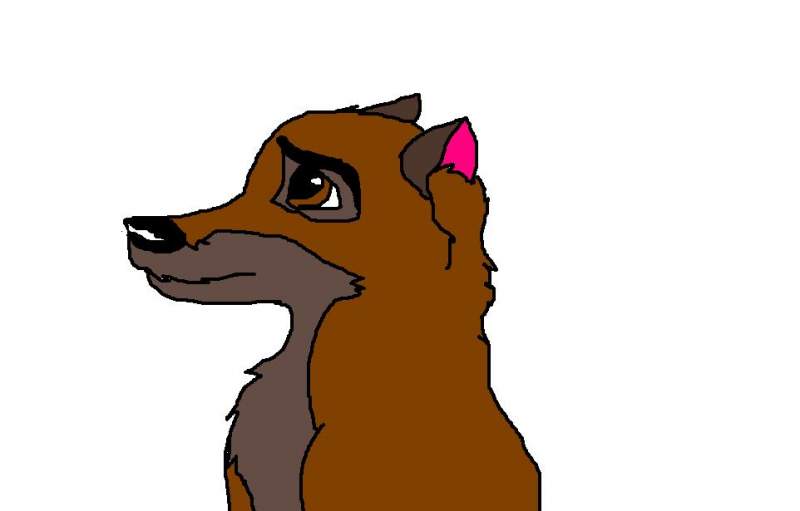 Balto in paint
