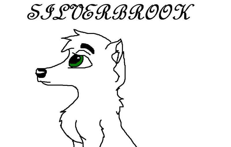Silverbrook