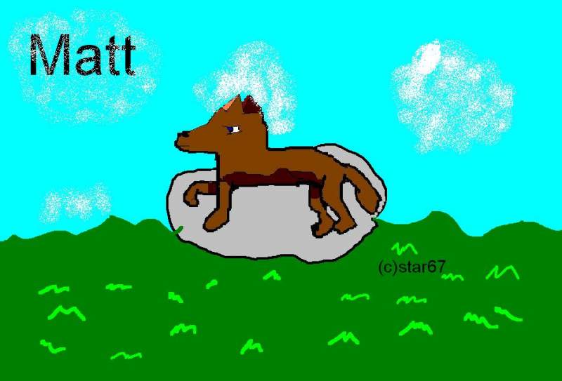 Matt