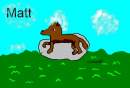 Matt