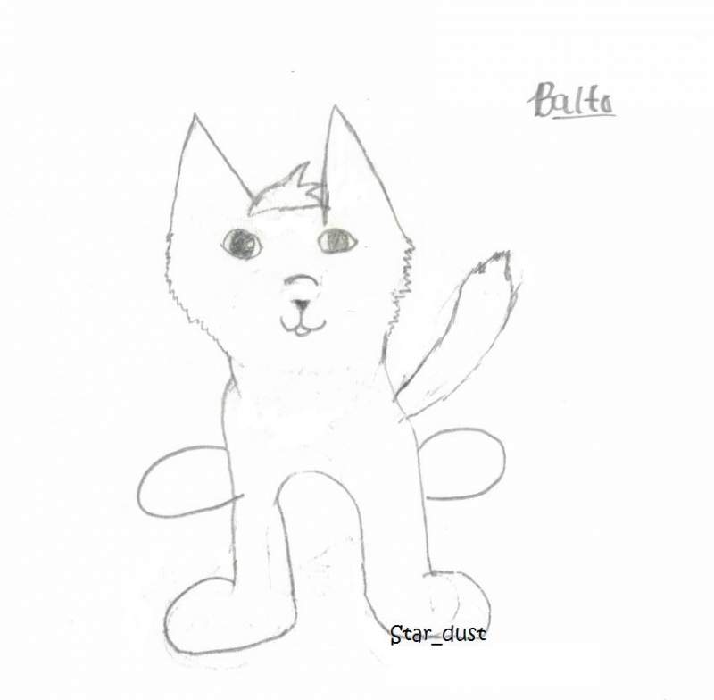 1st Balto
