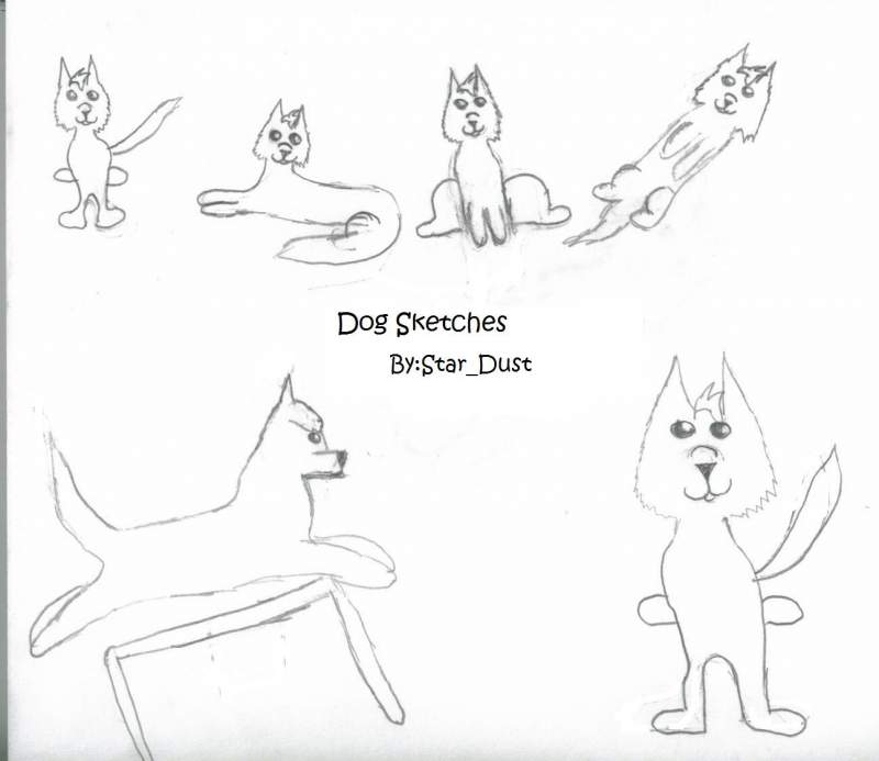 Sketches of Dogs 