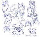 Kaltag Sketches