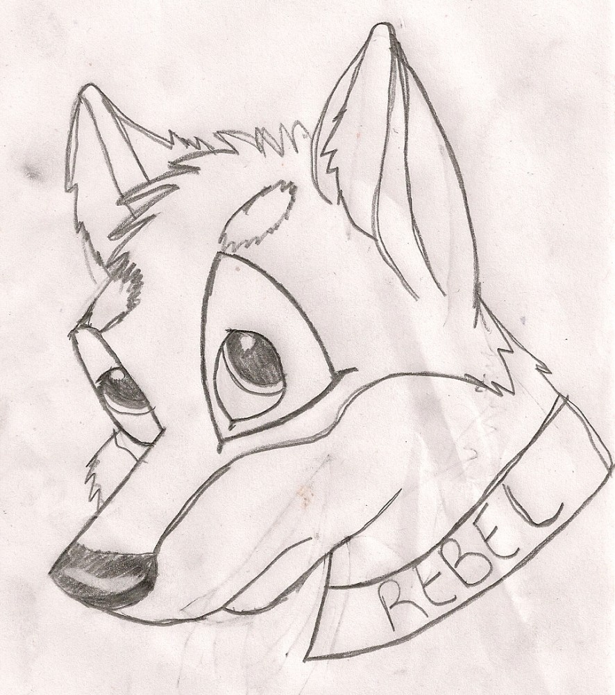 this is rebel