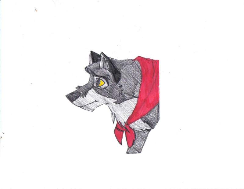 mini balto :p