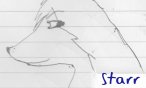 Starr