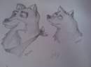 Balto & Starsky