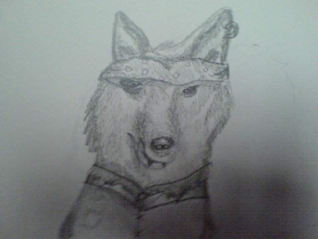 Crappy Pirate Wolf
