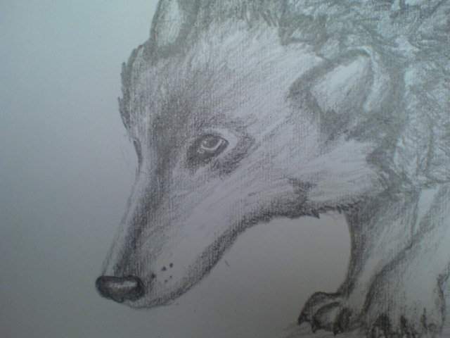 She-Wolf