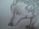 She-Wolf