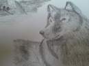 Alpha Wolf