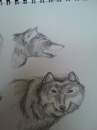 Two Wolves
