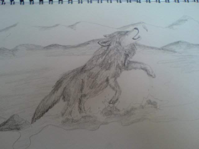 She-wolf in water
