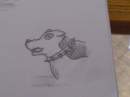 Pit Bull the Staffy