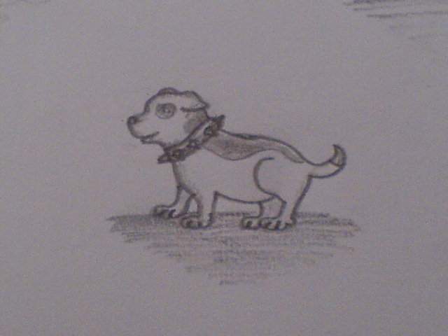 Pit Bull the Staffy